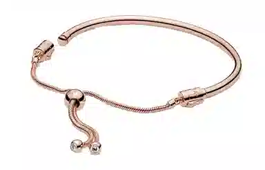 Pandora MOMENTS PANDORA ROSE