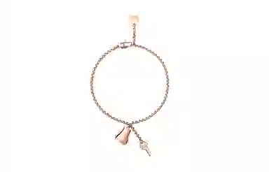 HERMES Kelly Clochette