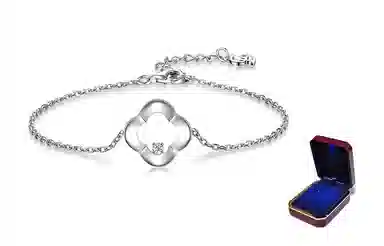 DaisyFellowes DF S925