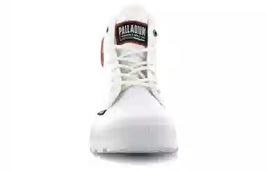 Palladium Pampa Hi Change