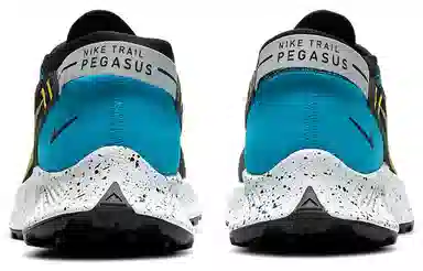 Nike Pegasus Trail 2