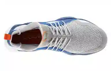 Reebok Dmx Fusion Evo