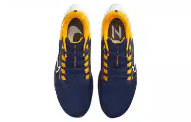 Nike Pegasus 38 "West Virginia"