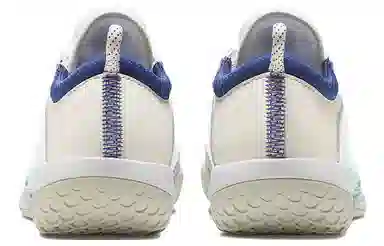 Nike Court Zoom NXT HC