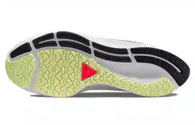 Nike Pegasus 38