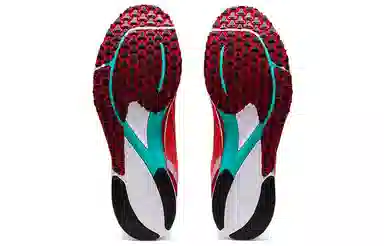 Asics Tartheredge 2