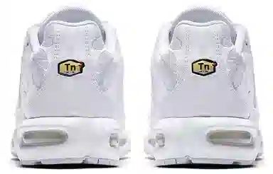 Nike Air Max Plus