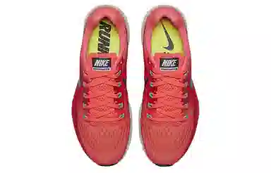 Nike Pegasus 34