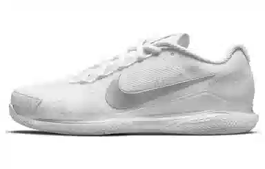 Nike Air Zoom Vapor pro Court