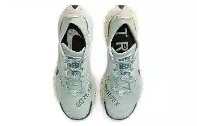 Nike Pegasus Trail 3 GTX