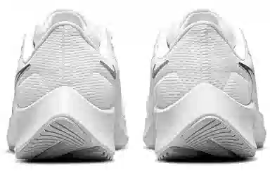 Nike Pegasus 38 White Silver