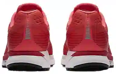 Nike Pegasus 34