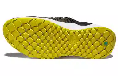 Timberland Solar Wave