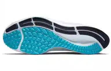 Nike Pegasus 38 White Blue