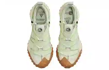 Nike ACG Mountain Fly Low GTX SE Light Green