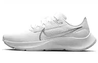Nike Pegasus 38 White Silver
