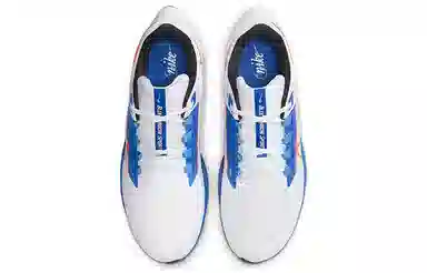 Nike Pegasus 38 White Blue