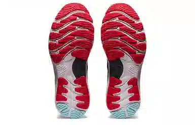 Asics GEL-Nimbus 23 2E