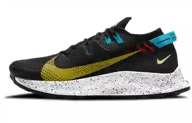 Nike Pegasus Trail 2