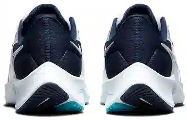 Nike Pegasus 38 White Blue