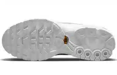 Nike Air Max Plus Triple White