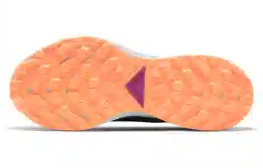 Nike Pegasus Trail 2