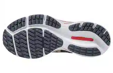 Mizuno Wave Rider 24