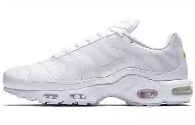 Nike Air Max Plus