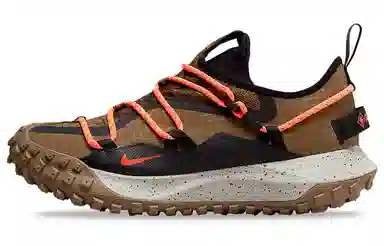 Nike ACG Mountain Fly Low GTX SE Brown