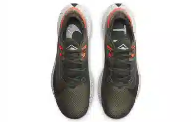 Nike Pegasus Trail 2