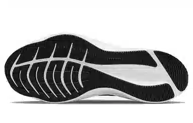Nike Zoom Winflo 8 Black White Gold