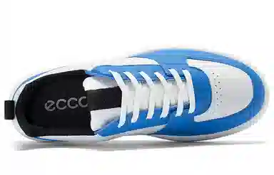ecco 720
