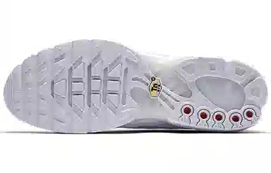 Nike Air Max Plus