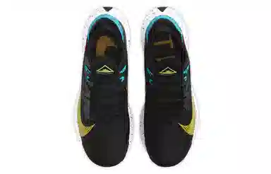 Nike Pegasus Trail 2