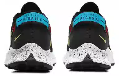 Nike Pegasus Trail 2