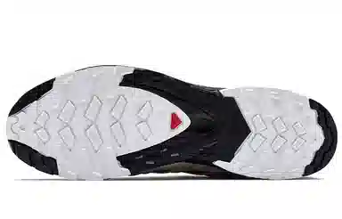 Salomon XA PRO 3D V8 GTX