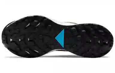 Nike Pegasus Trail 2