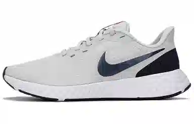 Nike Revolution 5 Grey