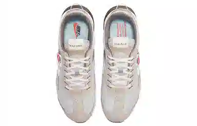 Nike Air Max Pre-Day