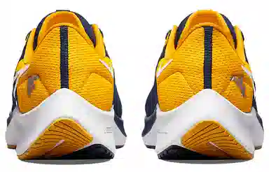 Nike Pegasus 38 "West Virginia"