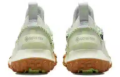 Nike ACG Mountain Fly Low GTX SE Light Green