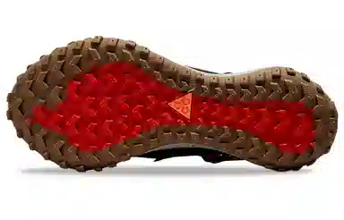 Nike ACG Mountain Fly Low GTX SE Brown