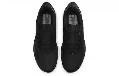 Nike Pegasus 38 Shield