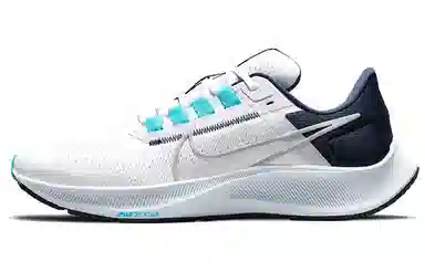 Nike Pegasus 38 White Blue