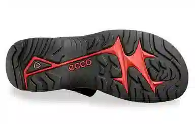 Ecco Sandals