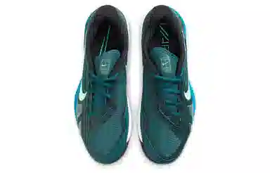 Nike Air Zoom Vapor pro Court