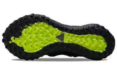 Nike ACG Mountain Fly Low GTX SE