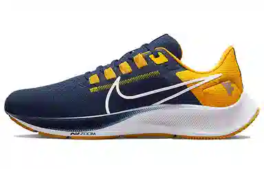 Nike Pegasus 38 "West Virginia"
