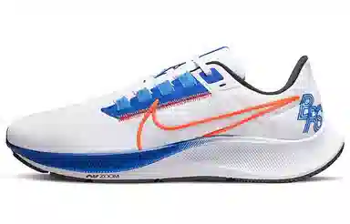 Nike Pegasus 38 White Blue