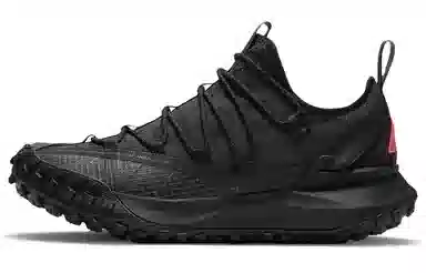 Nike ACG Mountain Fly Low "Anthracite"